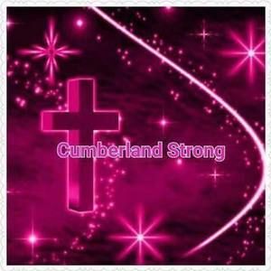 Meet your Posher, Stacy vines